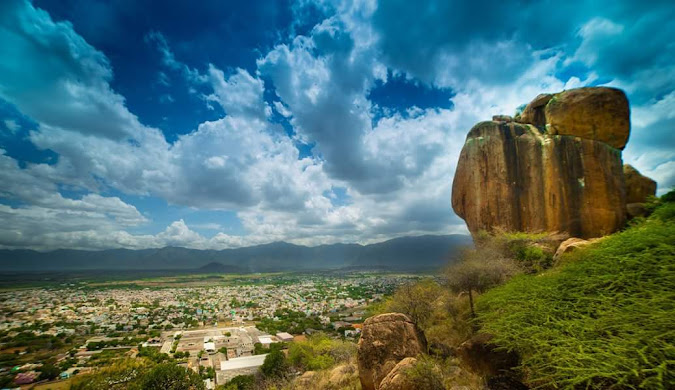Rajapalayam